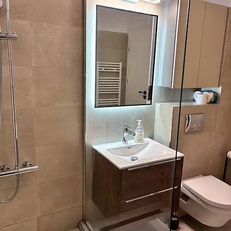 Sunflower Luxury Haven By Iulius Mall And Fsega アパート *